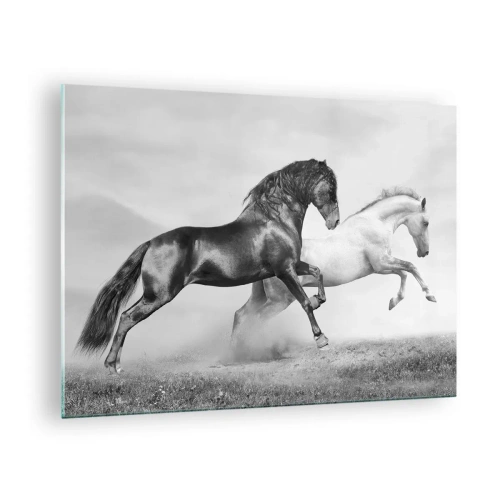 Obraz na szkle - Czarno-białe konie w dynamicznej scenerii - 70x50cm - Anioły i demony - Nowoczesna dekoracja ścienna do salonu i sypialni ARTTOR