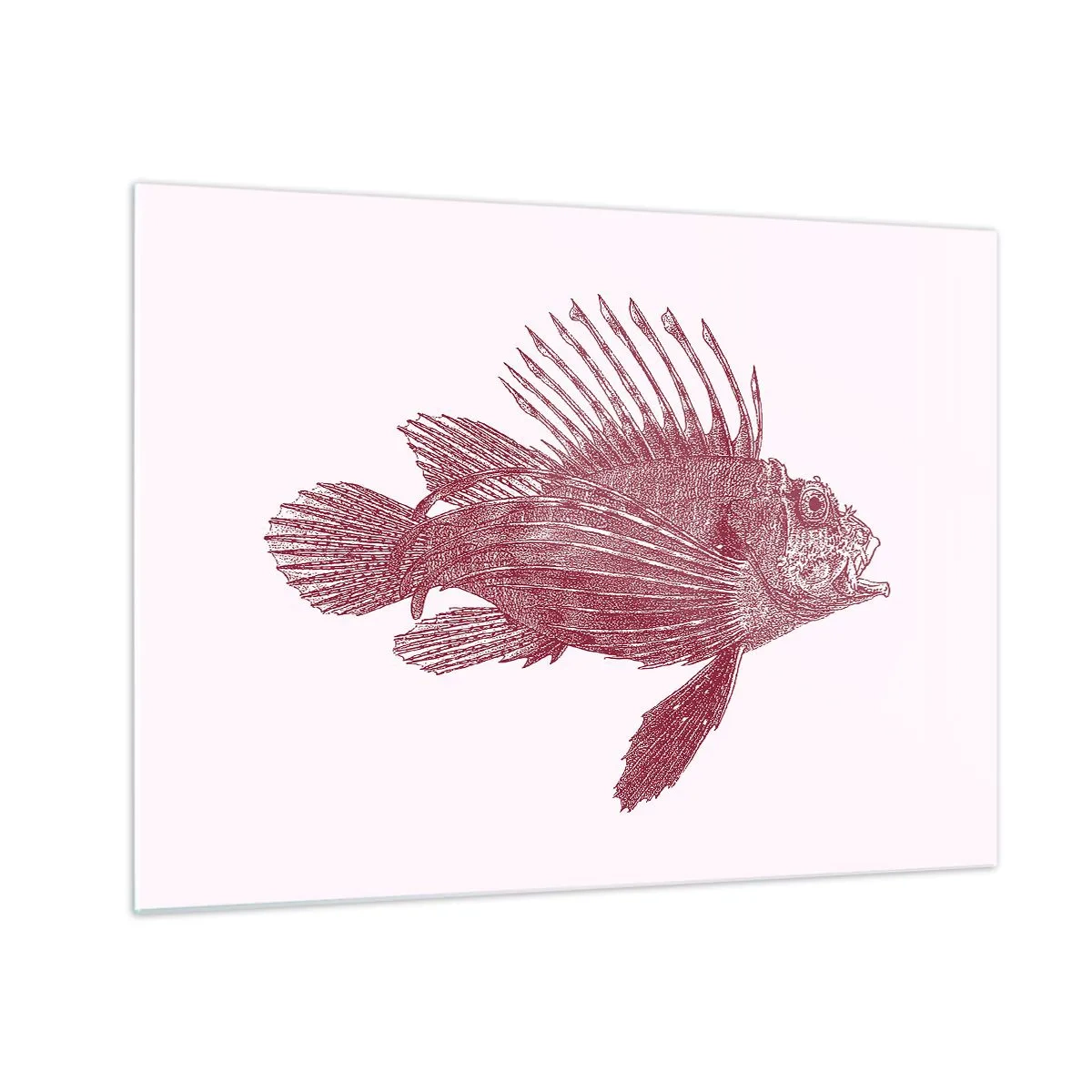 Obraz na szkle - Szkic egzotycznej ryby w bordowym kolorze na jasnym tle - 70x50cm - Mieszkanka egzotycznych wód - Nowoczesna dekoracja ścienna do salonu i sypialni ARTTOR
