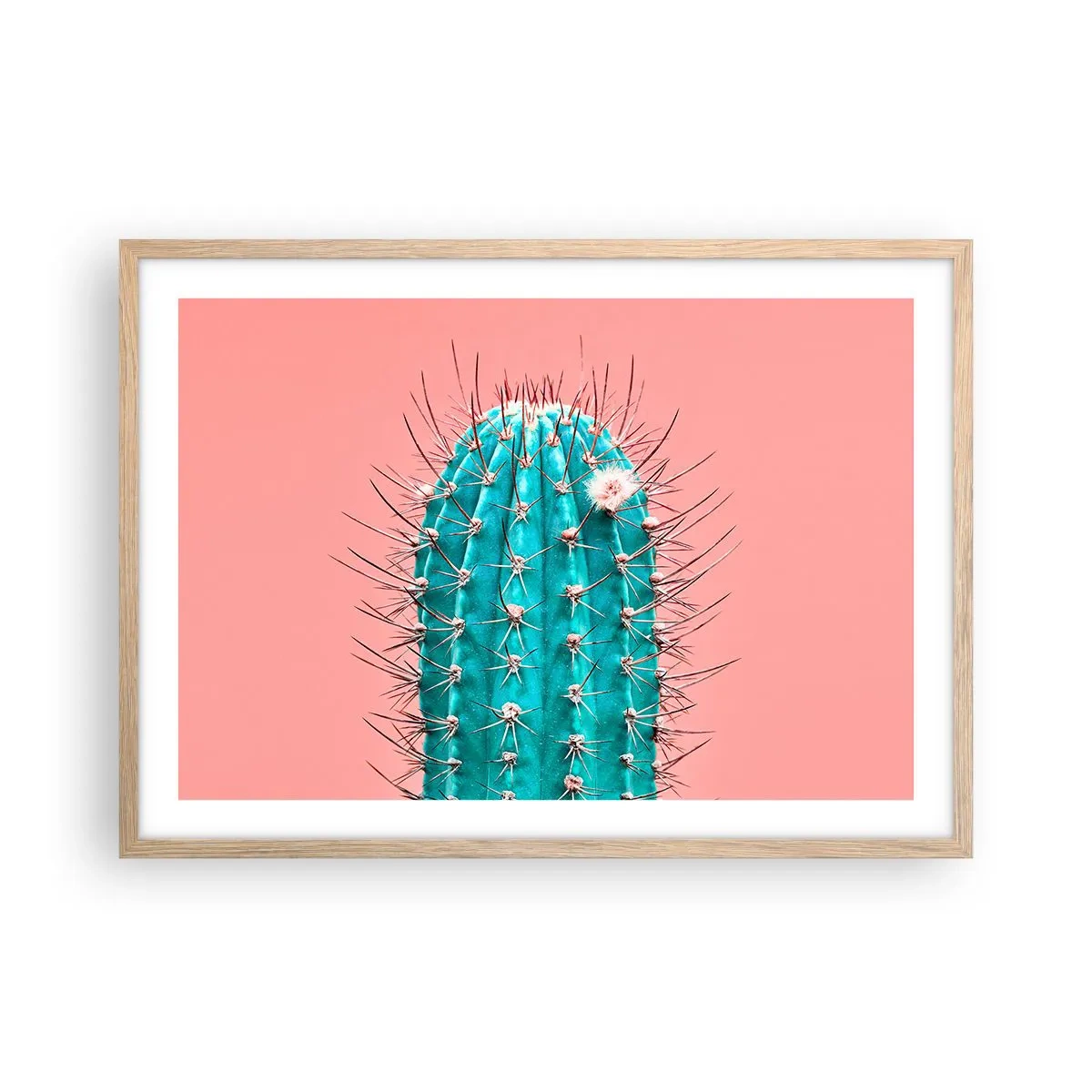 Plakat w ramie jasny dąb - Tylko patrz - 70x50 cm