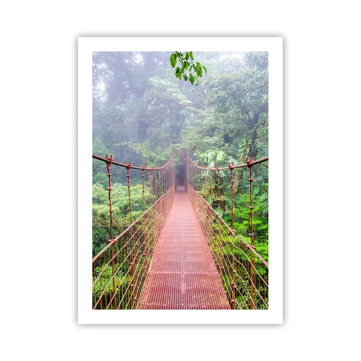 Plakat - Wiszący most w tropikalnym lesie otulony mgłą - 50x70cm - Zawieszony nad koronami - Nowoczesna dekoracja ścienna do salonu, kuchni i sypialni ARTTOR