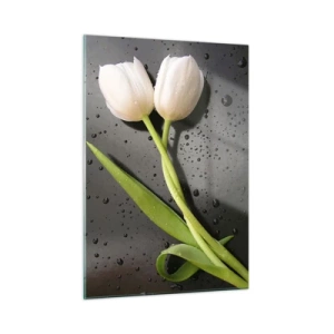 Obraz na szkle - Białe tulipany na tle z kroplami wody - 50x70cm - Wiosenny splot - Nowoczesna dekoracja ścienna do salonu, kuchni i sypialni ARTTOR