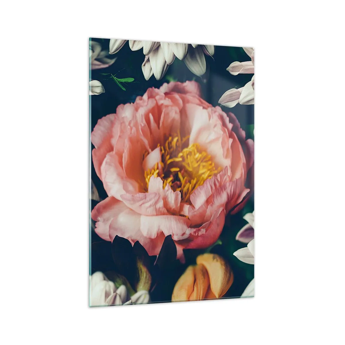 Obraz na szkle - Kwiatowa kompozycja z piwonią i chryzantemami na ciemnym tle - 70x100cm - Z barokowym przepychem - Nowoczesna dekoracja ścienna do salonu i sypialni ARTTOR