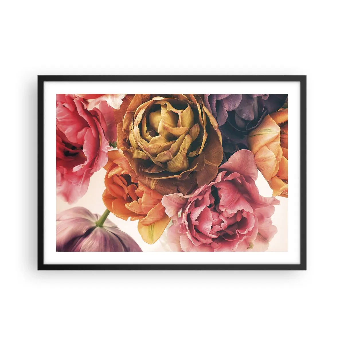 Plakat w czarnej ramie - Bukiet różnorodnych kwiatów w intensywnych barwach - 70x50cm - Święto życia - Nowoczesna dekoracja ścienna do salonu i sypialni ARTTOR