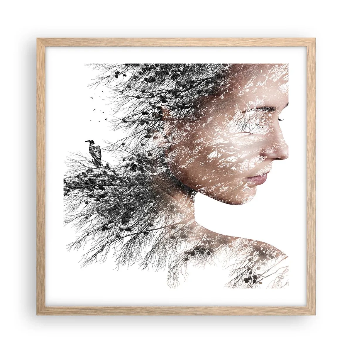 Plakat w ramie jasny dąb - Duch lasu - 50x50 cm