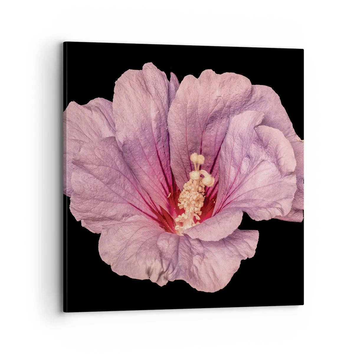 Obraz na płótnie - Prosto do serca - 70x70 cm