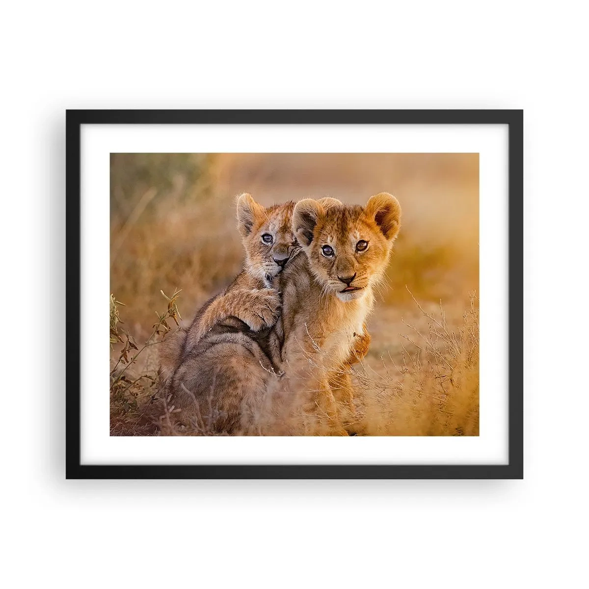 Plakat w czarnej ramie - Nie przeszkadzać! Bawimy się - 50x40 cm