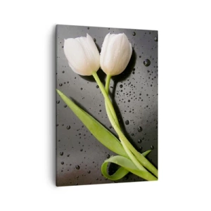 Obraz na płótnie - Białe tulipany na mokrej czarnej powierzchni - 50x70cm - Wiosenny splot - Nowoczesna dekoracja ścienna do salonu, kuchni i sypialni ARTTOR
