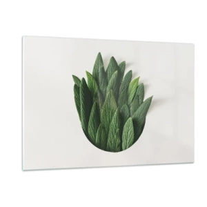 Obraz na szkle - Zielone liście ułożone w kształcie wazonu na białym tle - 120x80cm - Nieposkromiona ciekawość - Nowoczesna dekoracja ścienna do salonu, kuchni i sypialni ARTTOR
