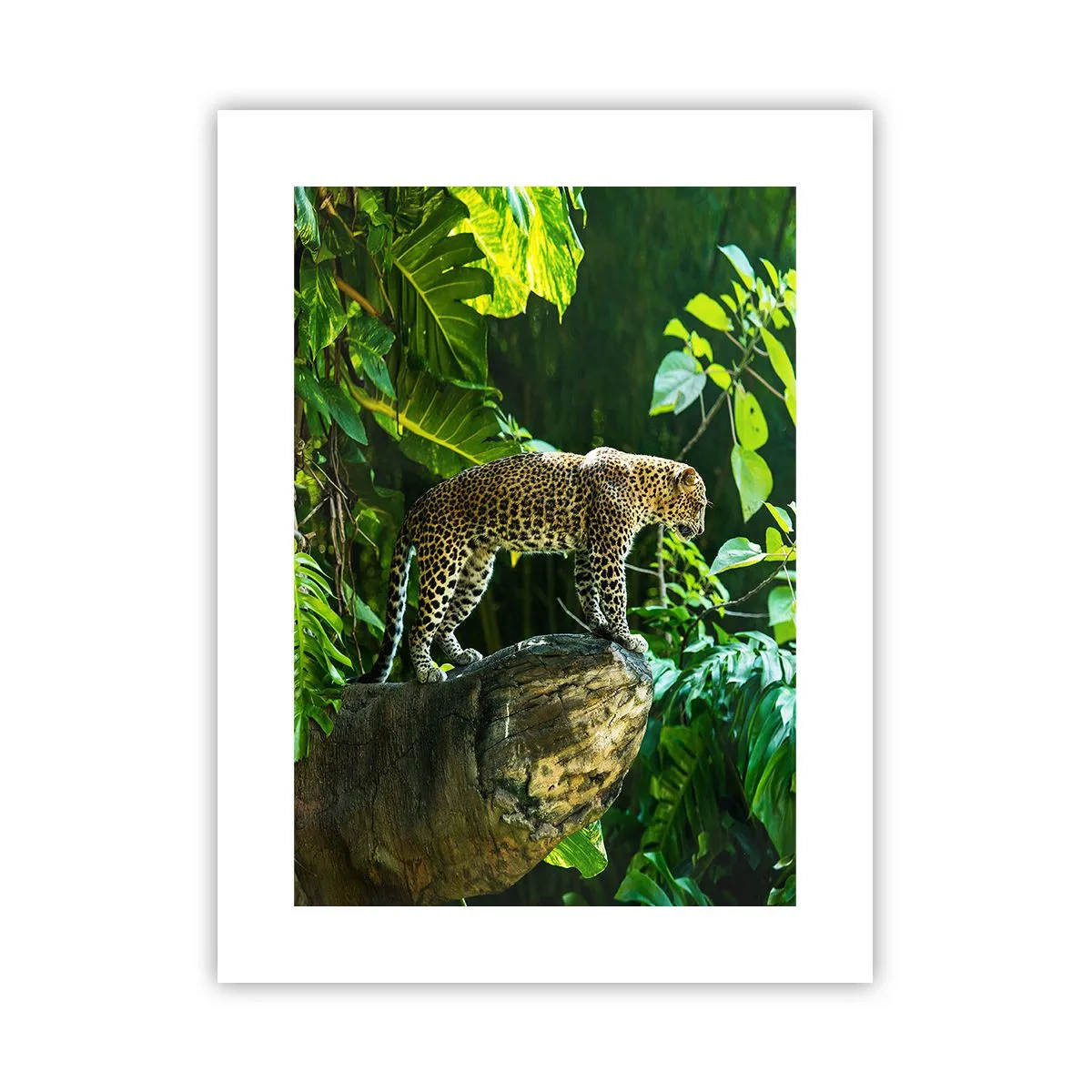 Plakat - Na łowy? - 30x40 cm