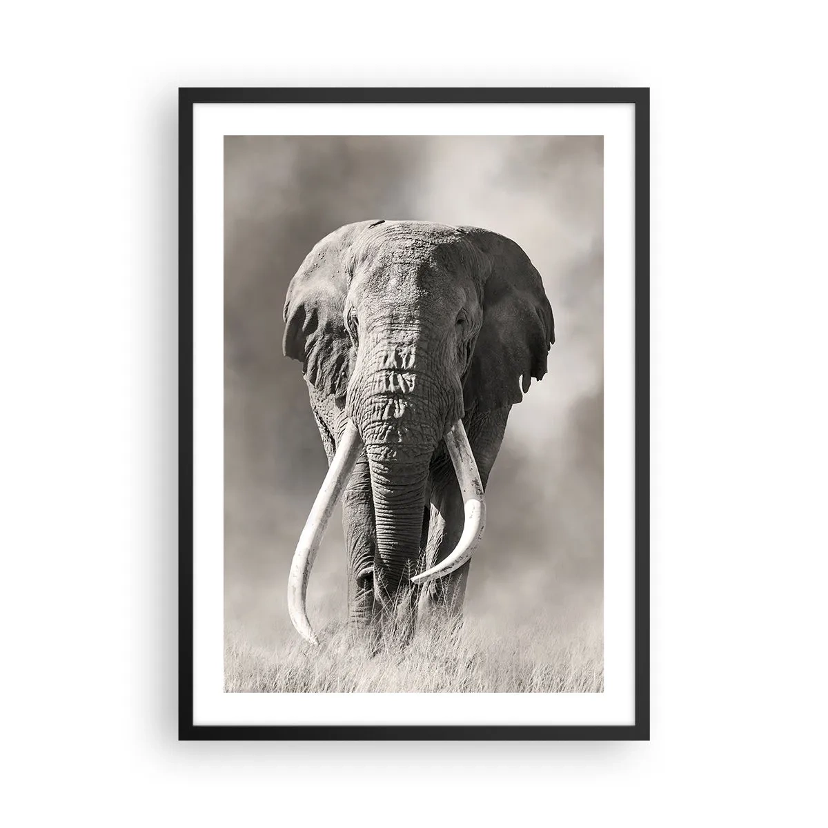 Plakat w czarnej ramie - Monochromatyczny portret majestatycznego słonia - 50x70cm - Afrykański patriarcha - Nowoczesna dekoracja ścienna do salonu i sypialni ARTTOR