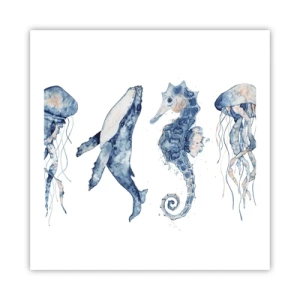Plakat - Morskie dziwy - 60x60 cm