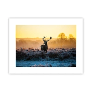 Plakat - Koronowany na swoich włościach - 40x30 cm