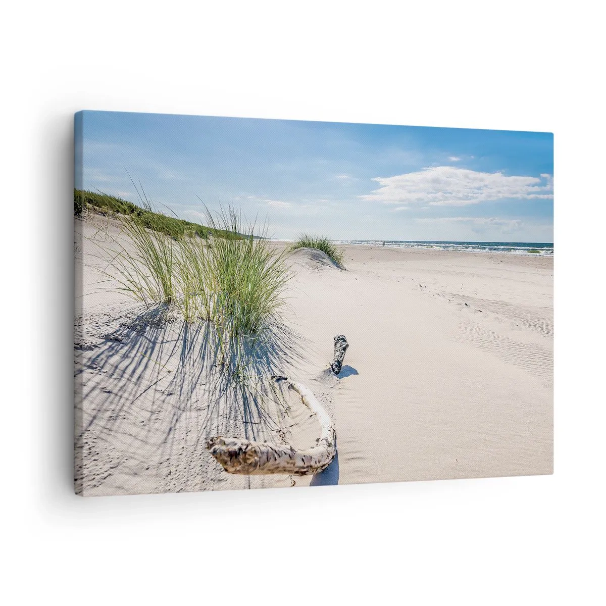 Obraz na płótnie - Bałtycka plaża z piaskiem, trawami i spokojnym błękitnym niebem - 70x50cm - Najpiękniejsza? Bałtycka - Nowoczesna dekoracja ścienna do salonu i sypialni ARTTOR