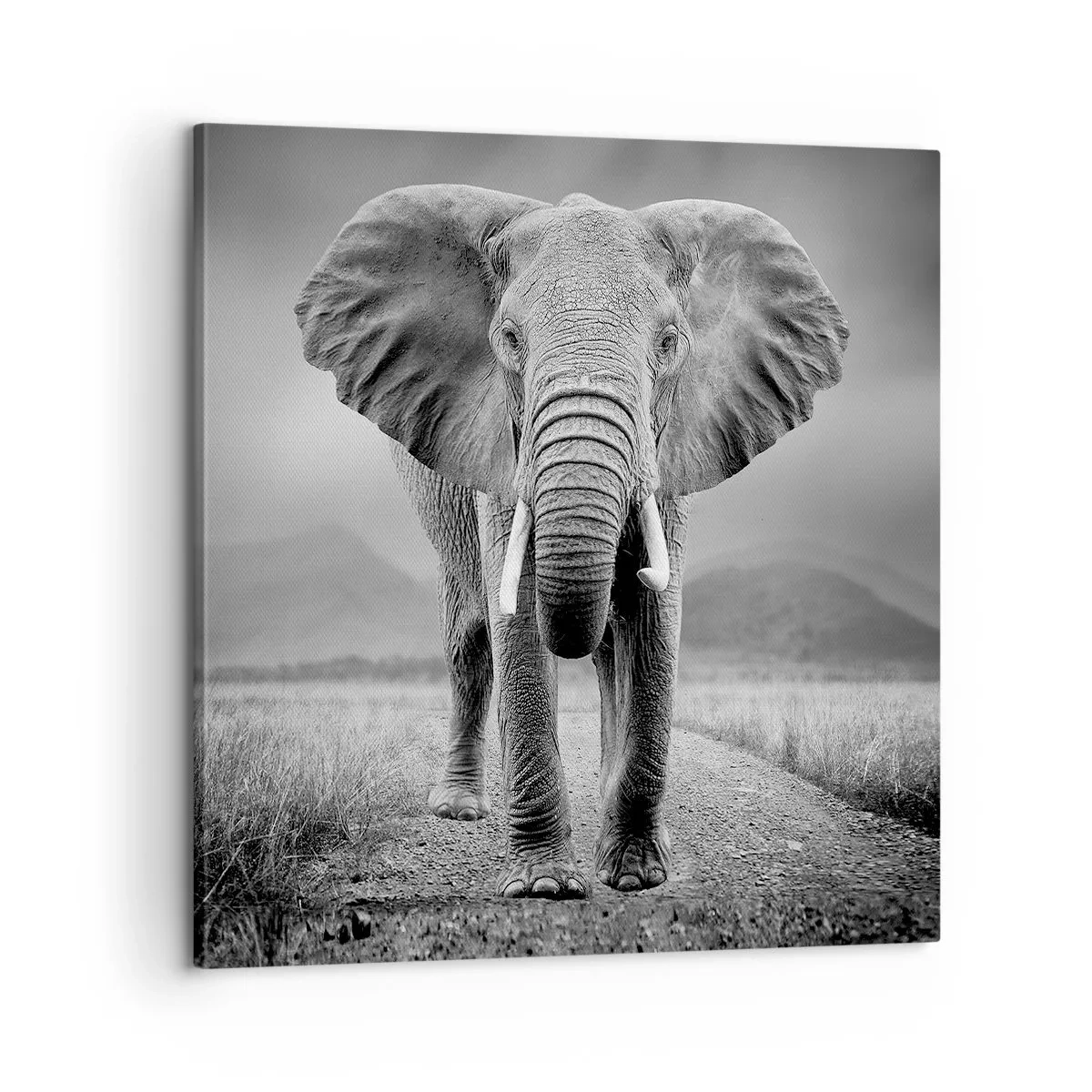 Obraz na płótnie - Gospodarz wita - 60x60 cm