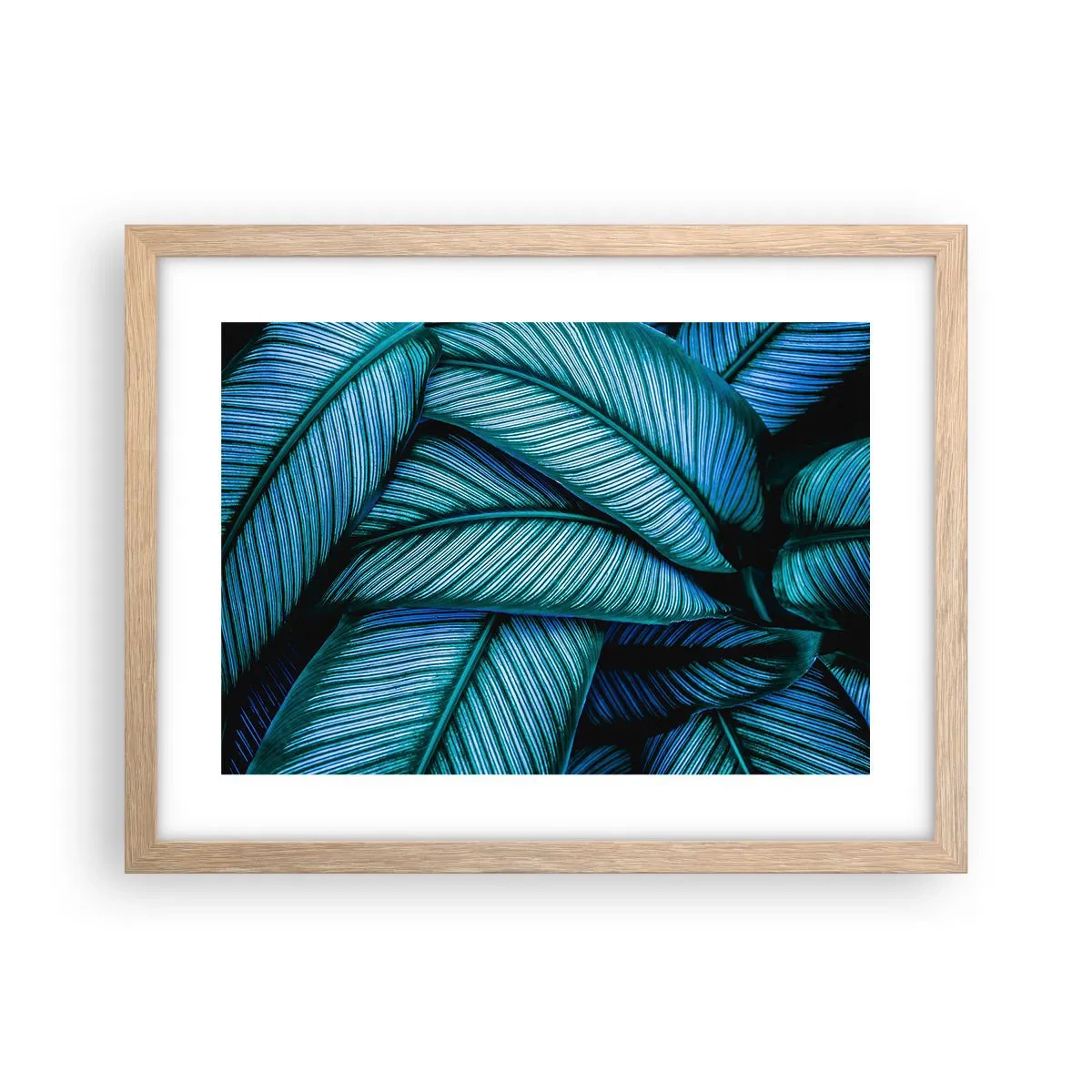 Plakat w ramie jasny dąb - Linie życia - 40x30 cm