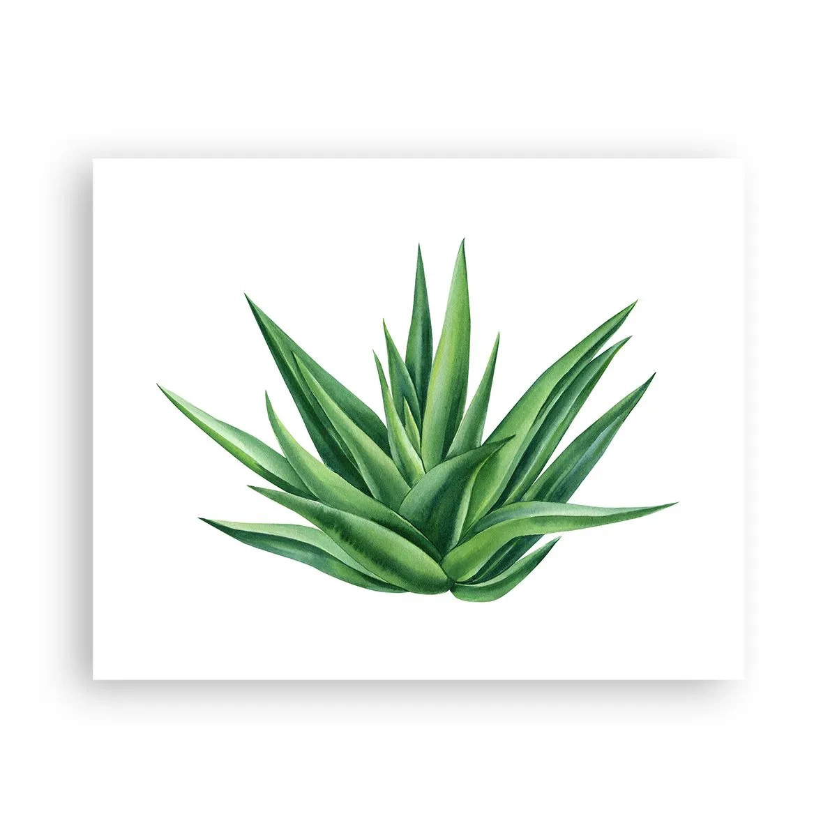 Plakat - Zieleń – siła – życie - 50x40 cm