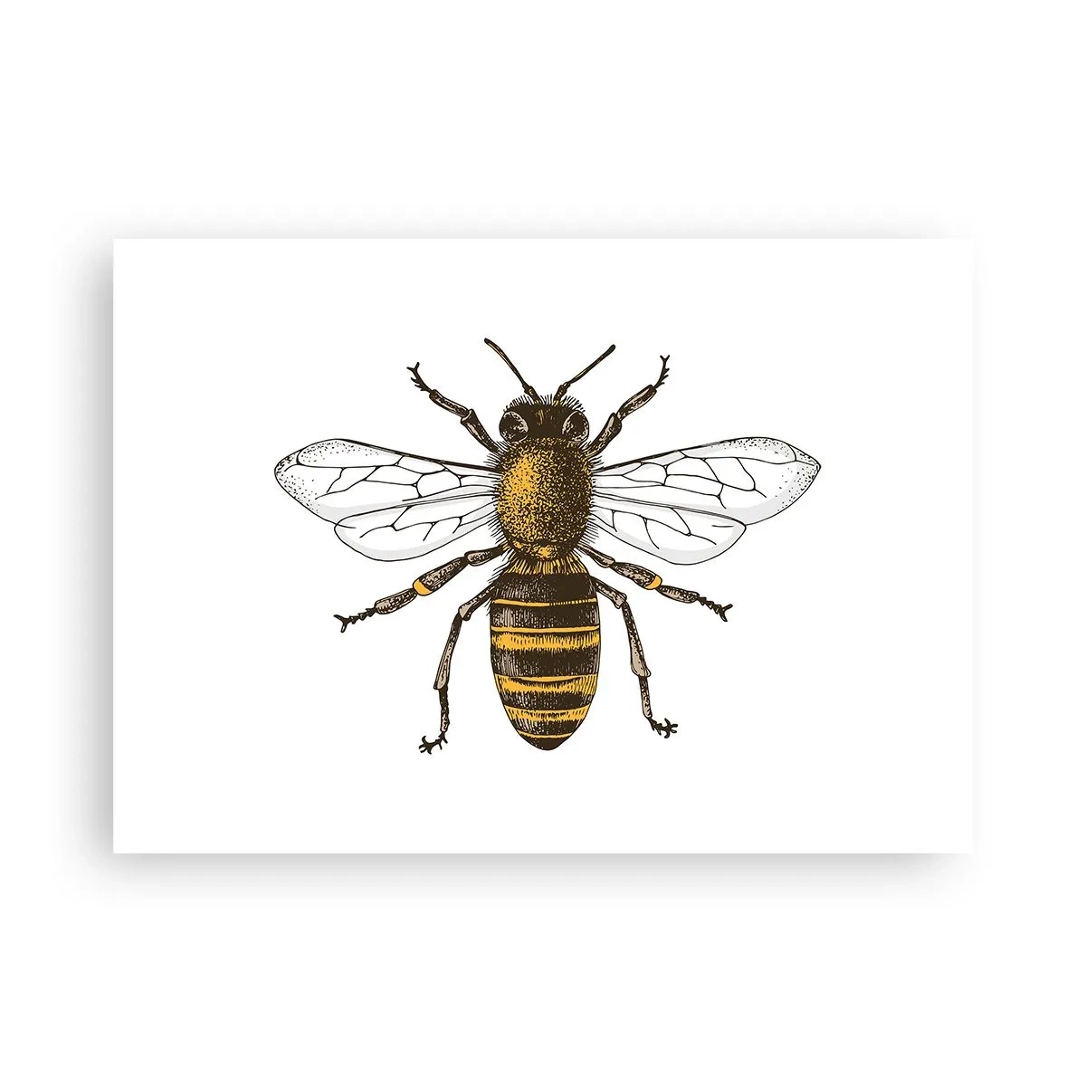 Plakat - Piękna i dobra - 70x50 cm