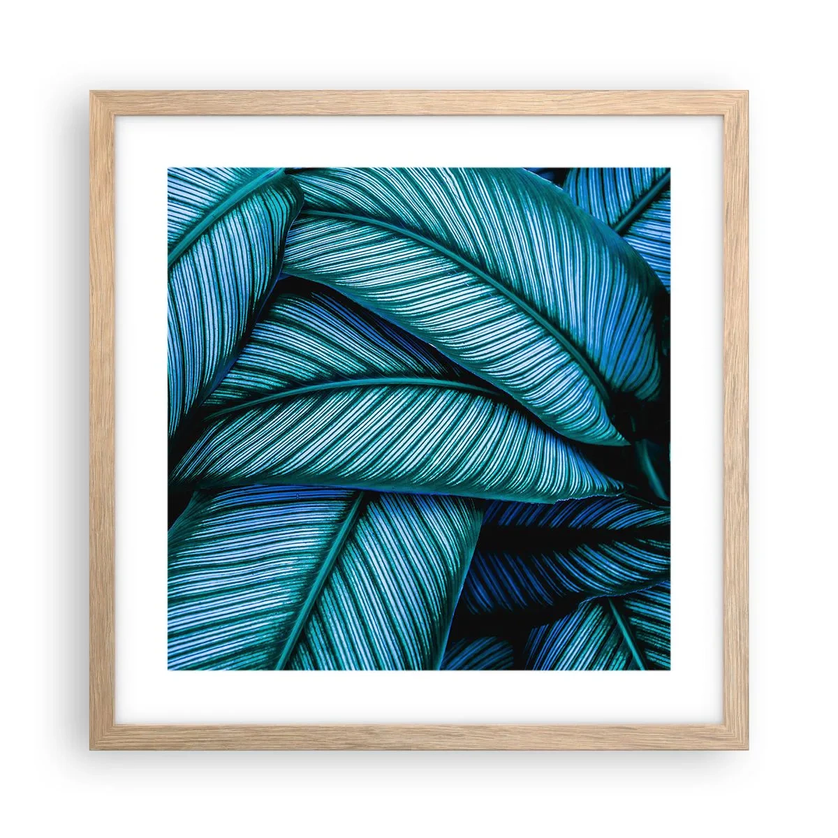 Plakat w ramie jasny dąb - Linie życia - 40x40 cm