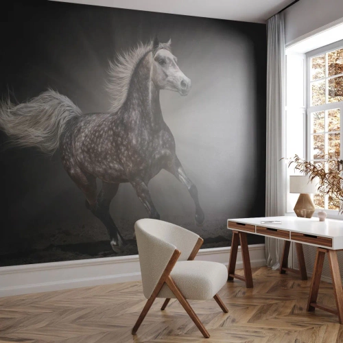 Fototapeta Standard Eco - Biegnący koń na ciemnym tle z dynamicznym efektem - 100x70cm - Szare jest piękne - Nowoczesna dekoracja ścienna do salonu i sypialni ARTTOR