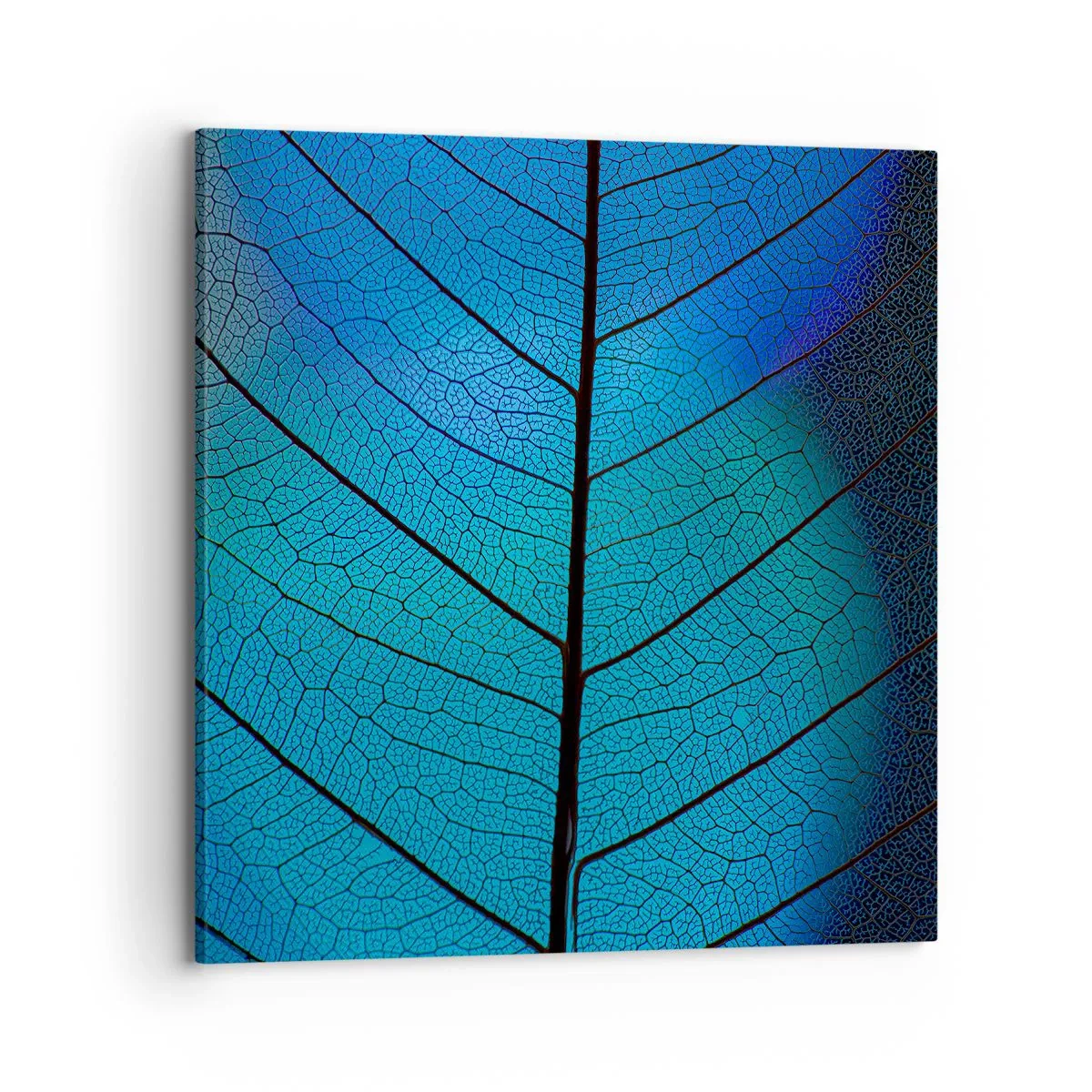 Obraz na płótnie - Misterna budowa - 70x70 cm