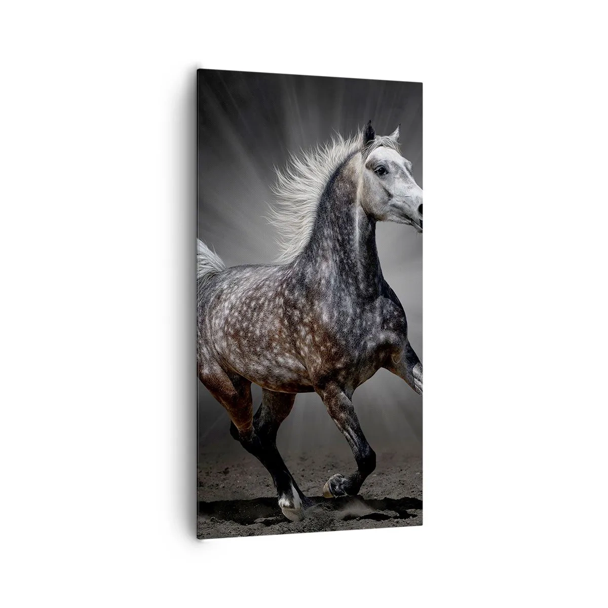 Obraz na płótnie - Szare jest piękne - 65x120 cm