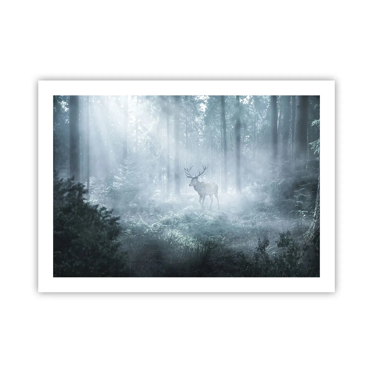 Plakat - Poranny obchód włości - 70x50 cm