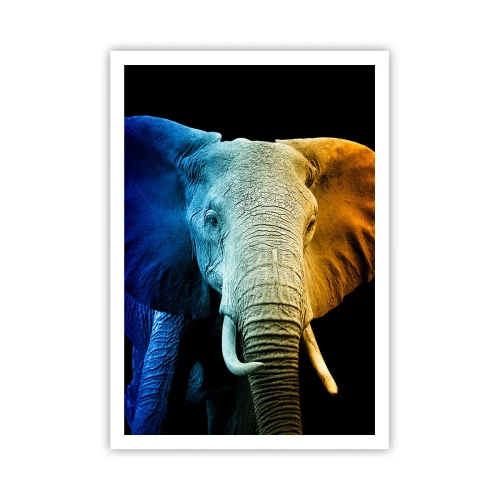 Plakat - Ekscentryk, nie dziwak - 70x100 cm