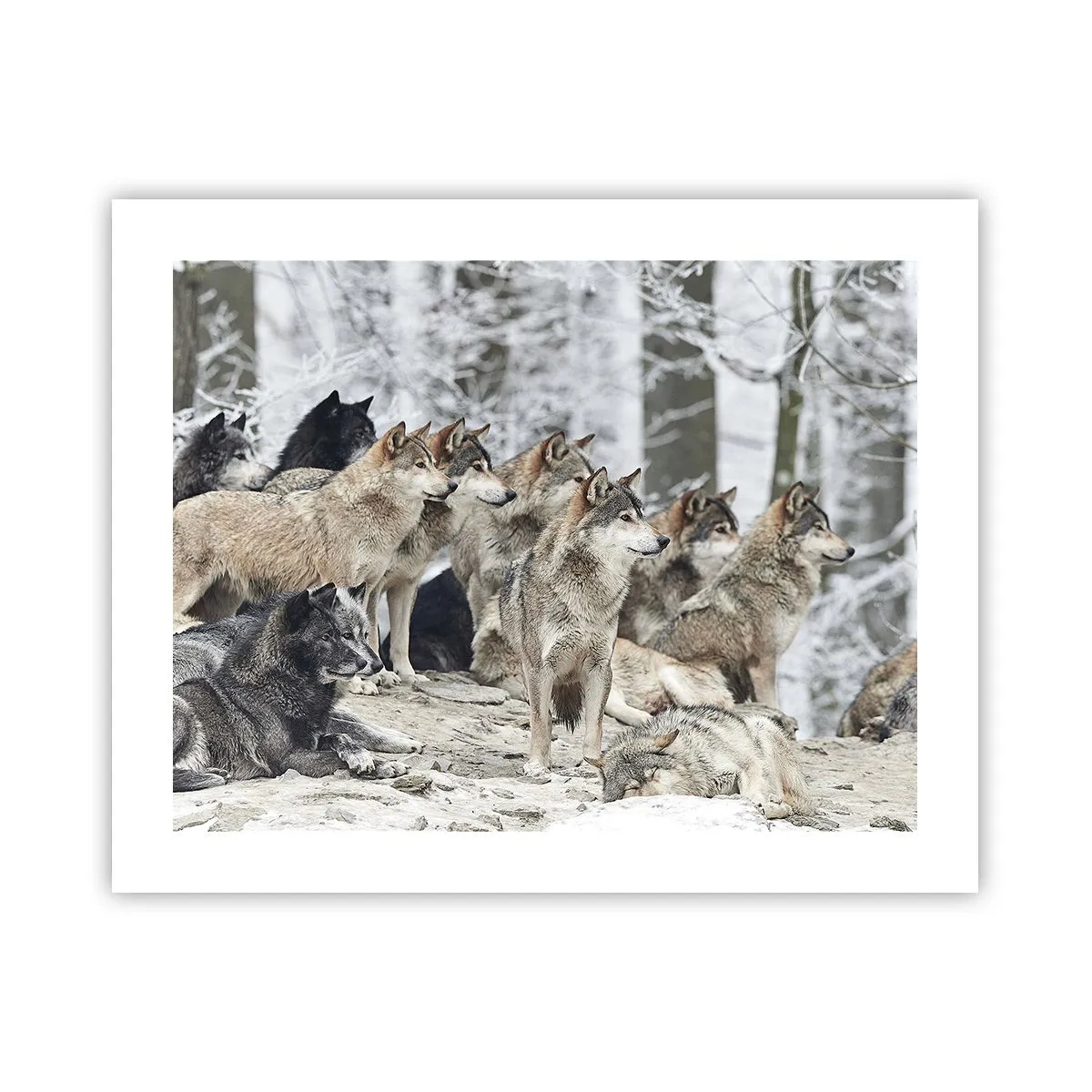 Plakat - Rodzina i przyjaciele - 50x40 cm