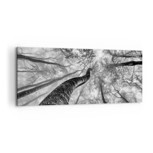 Obraz na płótnie - Perspektywa drzew w lesie widzianych od dołu w odcieniach szarości - 120x50cm - Wyścig do światła - Nowoczesna dekoracja ścienna do salonu i sypialni ARTTOR