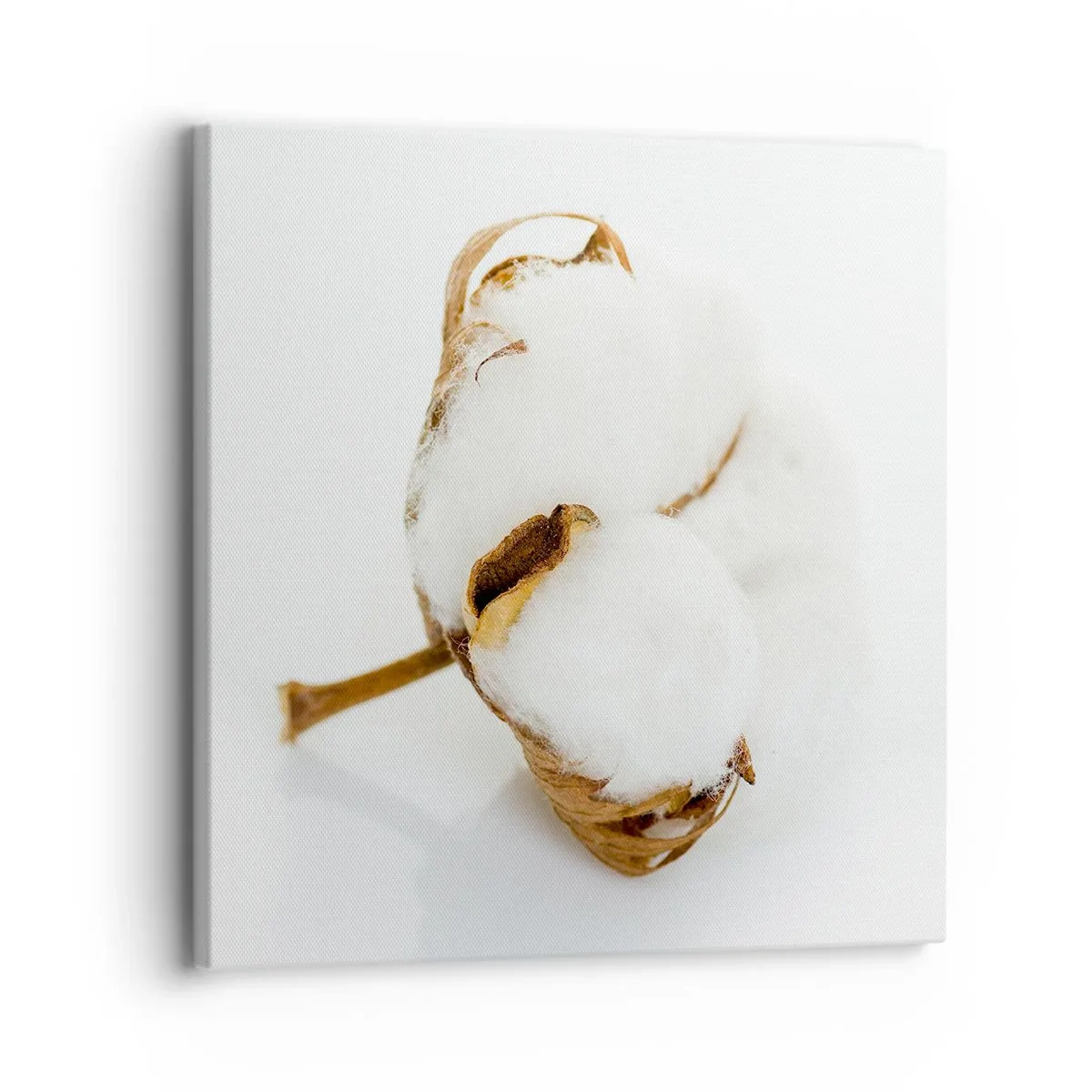 Obraz na płótnie - Miękka z natury - 30x30 cm