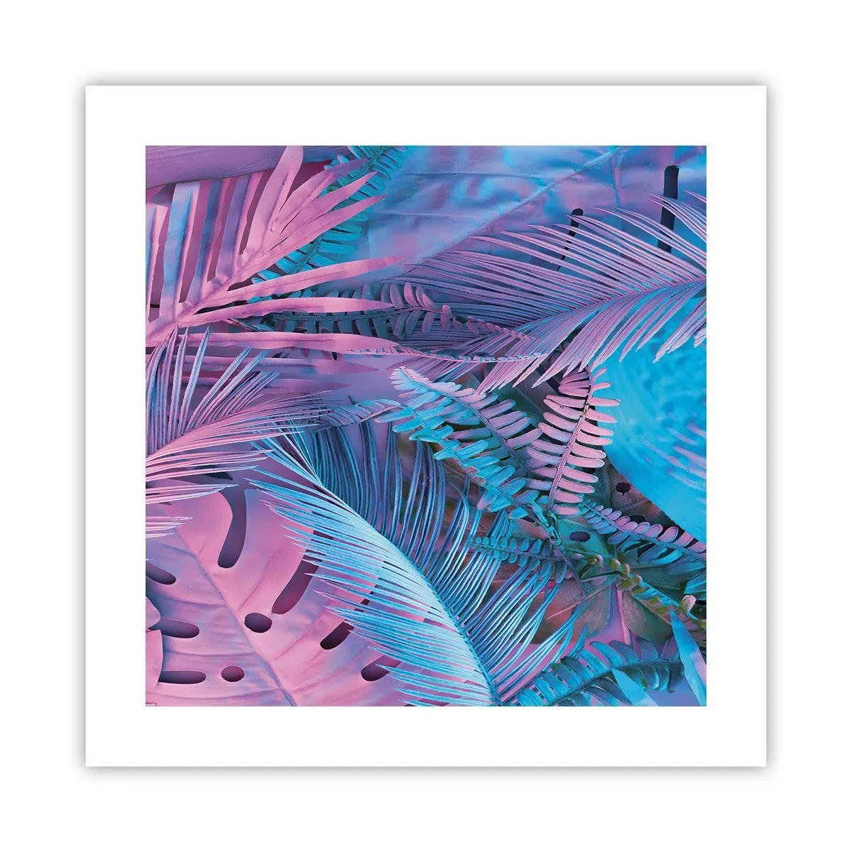 Plakat - Tropiki w różu i błękicie - 40x40 cm