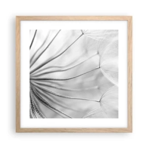 Plakat w ramie jasny dąb - Dmuchawce, latawce - 40x40 cm