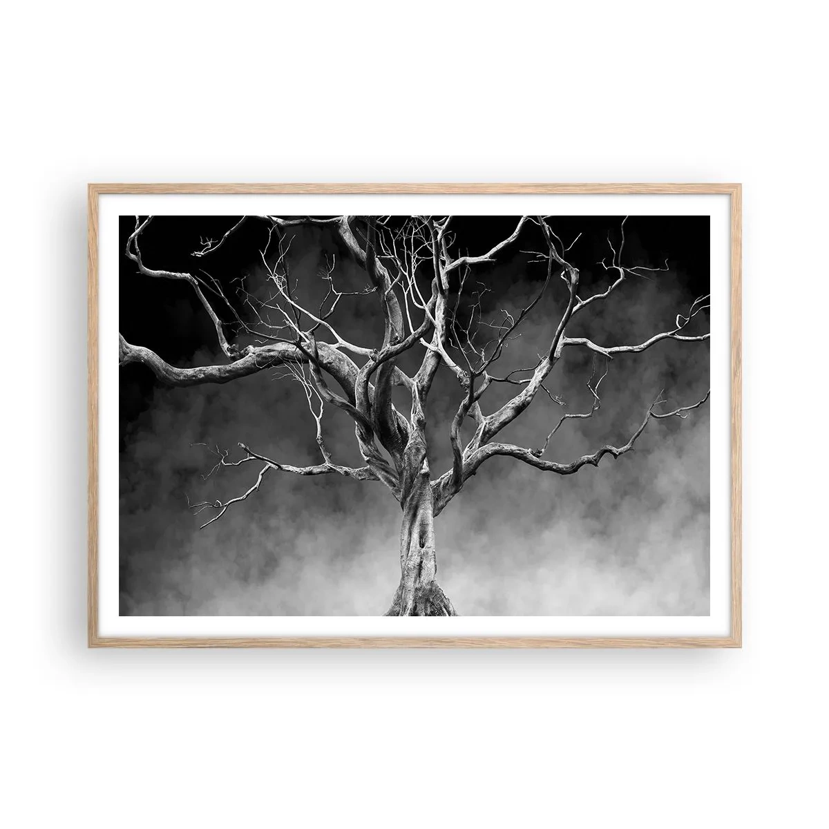 Plakat w ramie jasny dąb - Pierwotne i święte - 100x70 cm