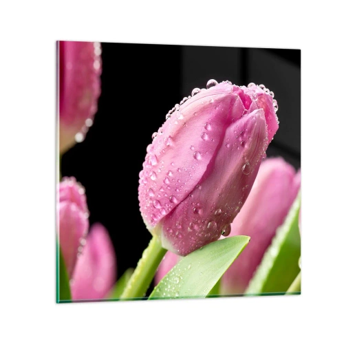 Obraz na szkle - Liliowy sen w rosie - 60x60 cm