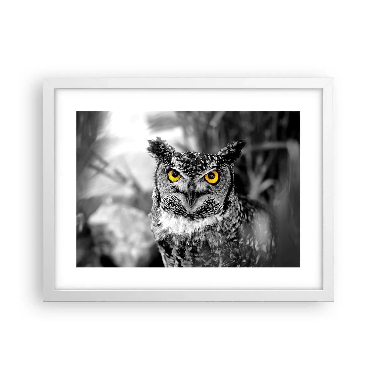 Plakat w białej ramie - Nic się nie ukryje - 40x30 cm