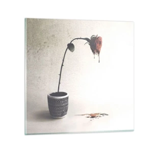 Obraz na szkle - Rosa dolorosa - 70x70 cm