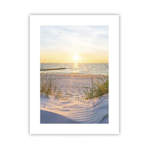 Plakat - Morza szum, ptaków śpiew, dzika plaża pośród traw… - 30x40 cm