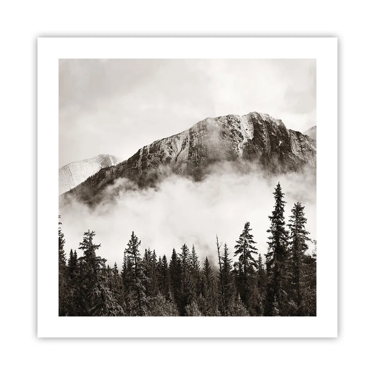 Plakat - Granitowy władca - 50x50 cm