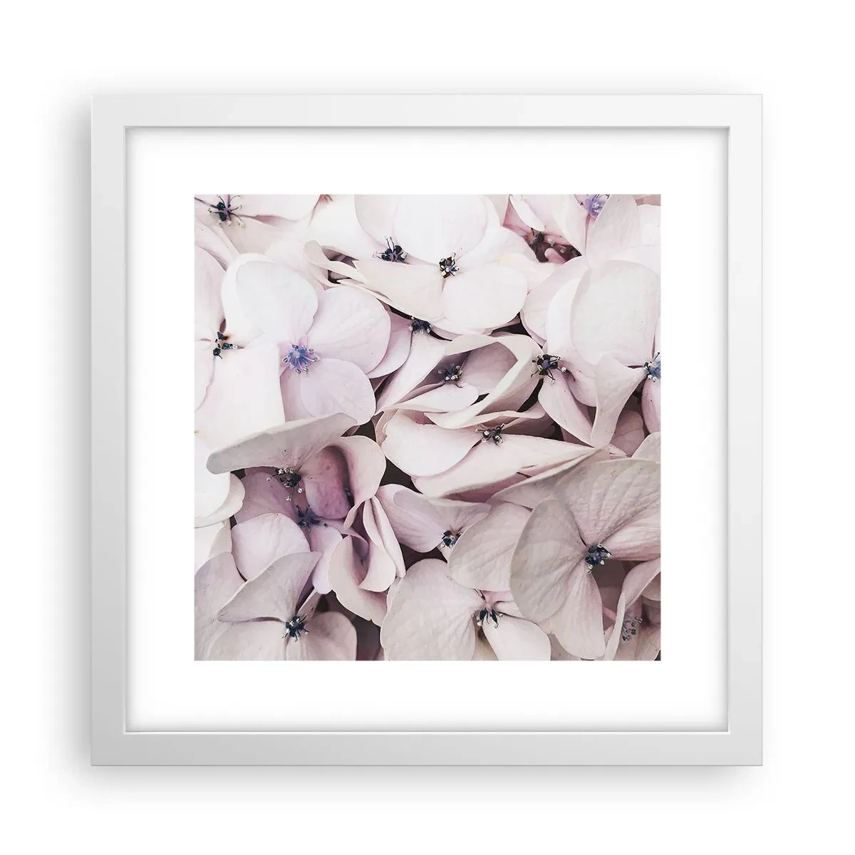 Plakat w białej ramie - W powodzi kwiatów - 30x30 cm