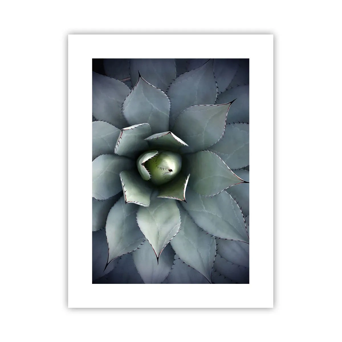 Plakat - Wabi i przestrzega - 30x40 cm