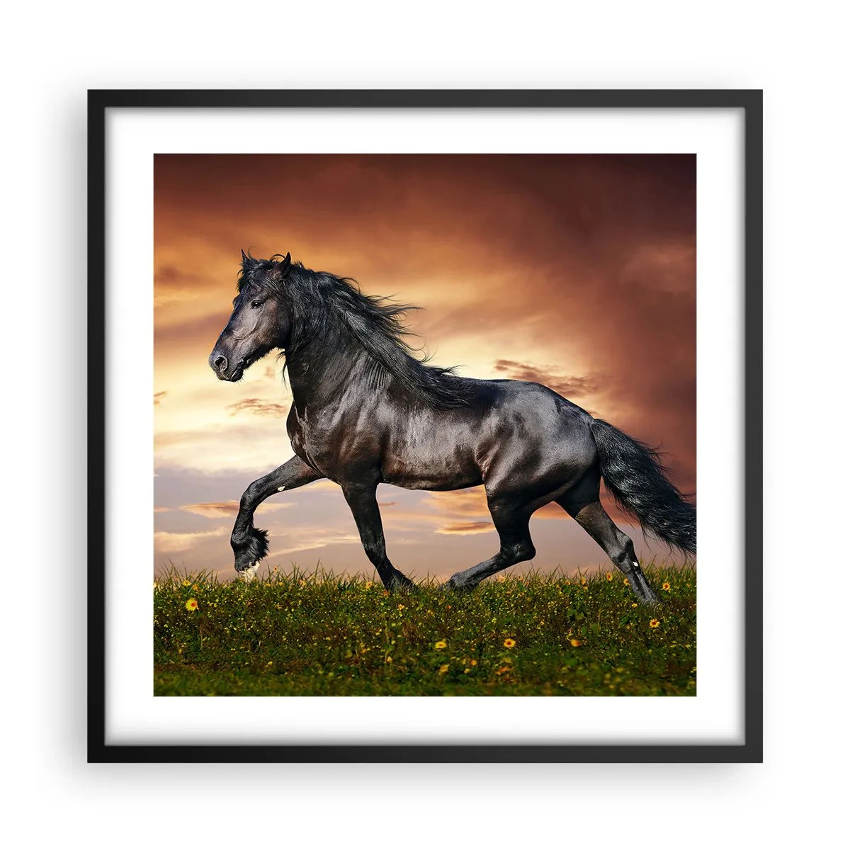 Plakat w czarnej ramie - Czarny książę - 50x50 cm