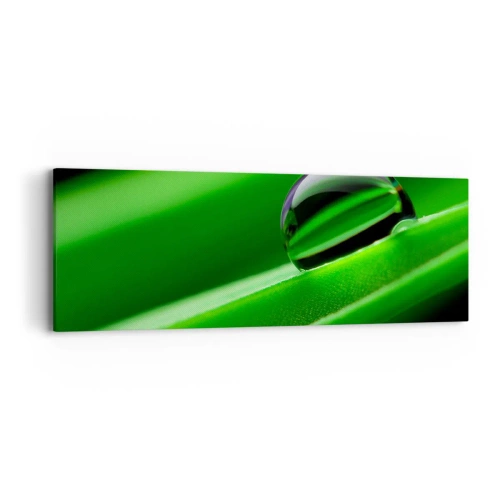 Obraz na płótnie - Życie z bliska - 90x30 cm