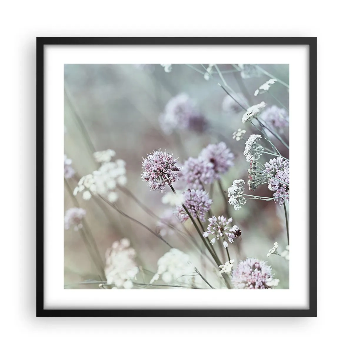 Plakat w czarnej ramie - Słodkie filigrany ziół - 50x50 cm