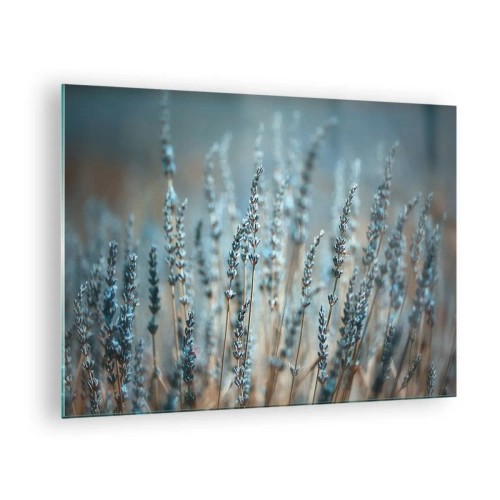 Obraz na szkle - Pole lawendy w delikatnym świetle o chłodnym odcieniu - 70x50cm - Pachnący łan - Nowoczesna dekoracja ścienna do salonu i sypialni ARTTOR