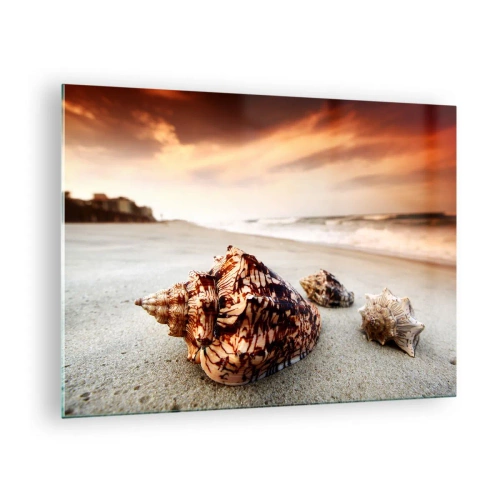 Obraz na szkle - Muszle na plaży o zachodzie słońca - 70x50cm - Wygnanki fal - Nowoczesna dekoracja ścienna do salonu i sypialni ARTTOR