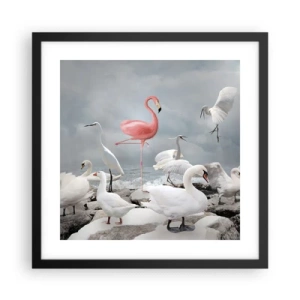 Plakat w czarnej ramie - Skąd się tu wziąłem? - 40x40 cm