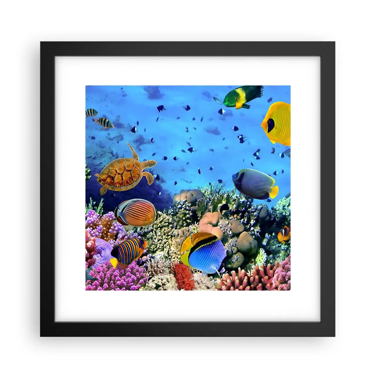 Plakat w czarnej ramie - I co my wiemy o życiu... - 30x30 cm