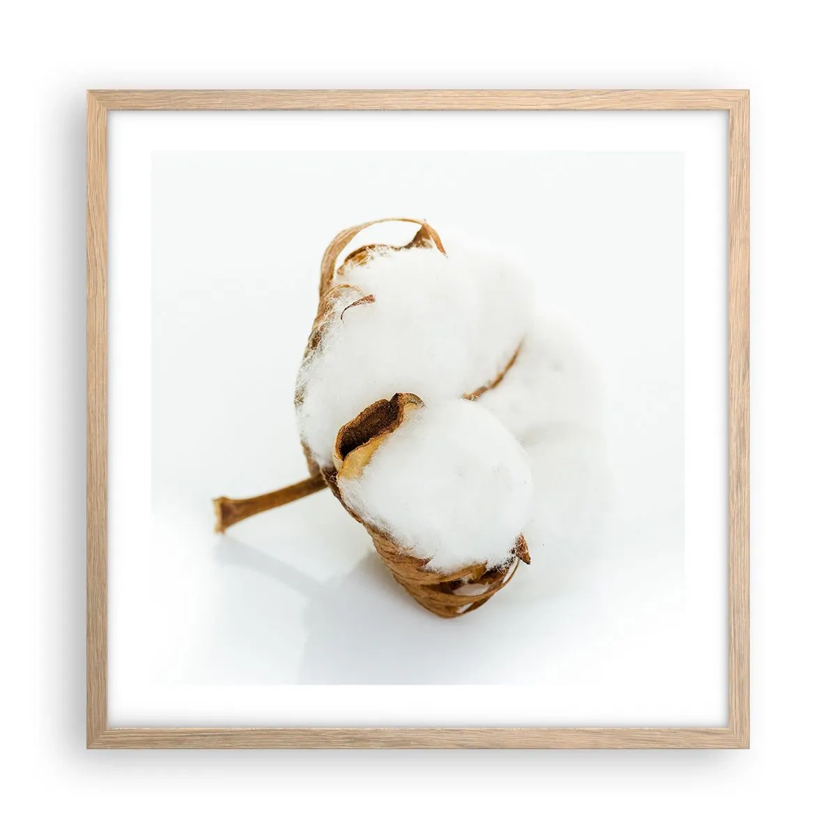 Plakat w ramie jasny dąb - Miękka z natury - 50x50 cm