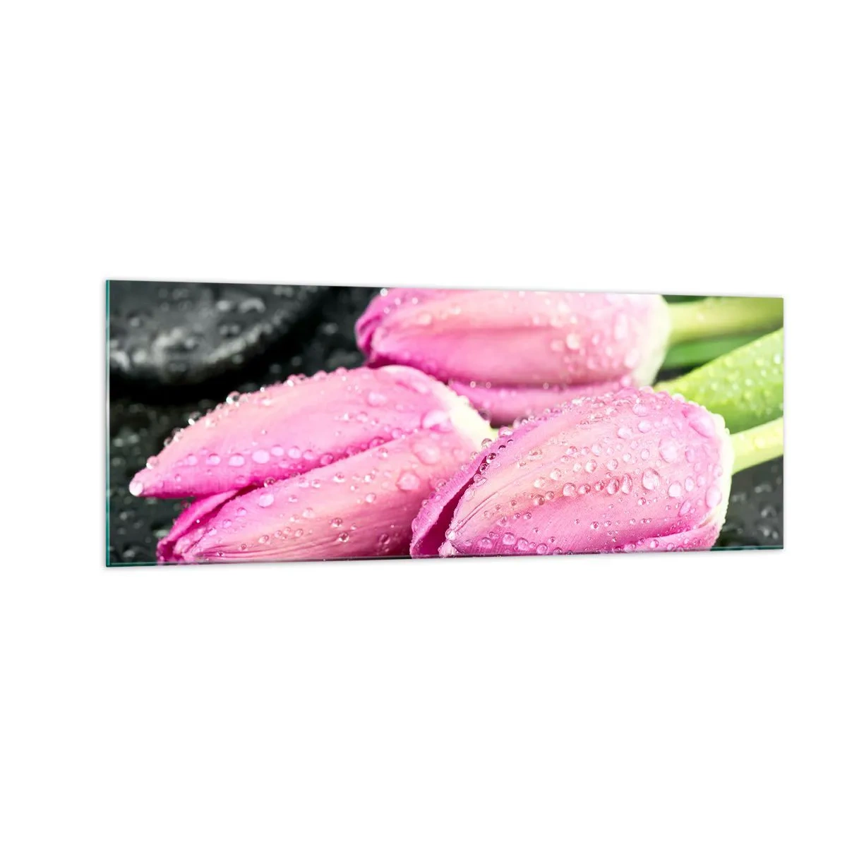 Obraz na szkle - Trzy różowe tulipany z kroplami wody na czarnym tle - 140x50cm - Liliowa trójka na czarnym kamieniu - Nowoczesna dekoracja ścienna do salonu i sypialni ARTTOR
