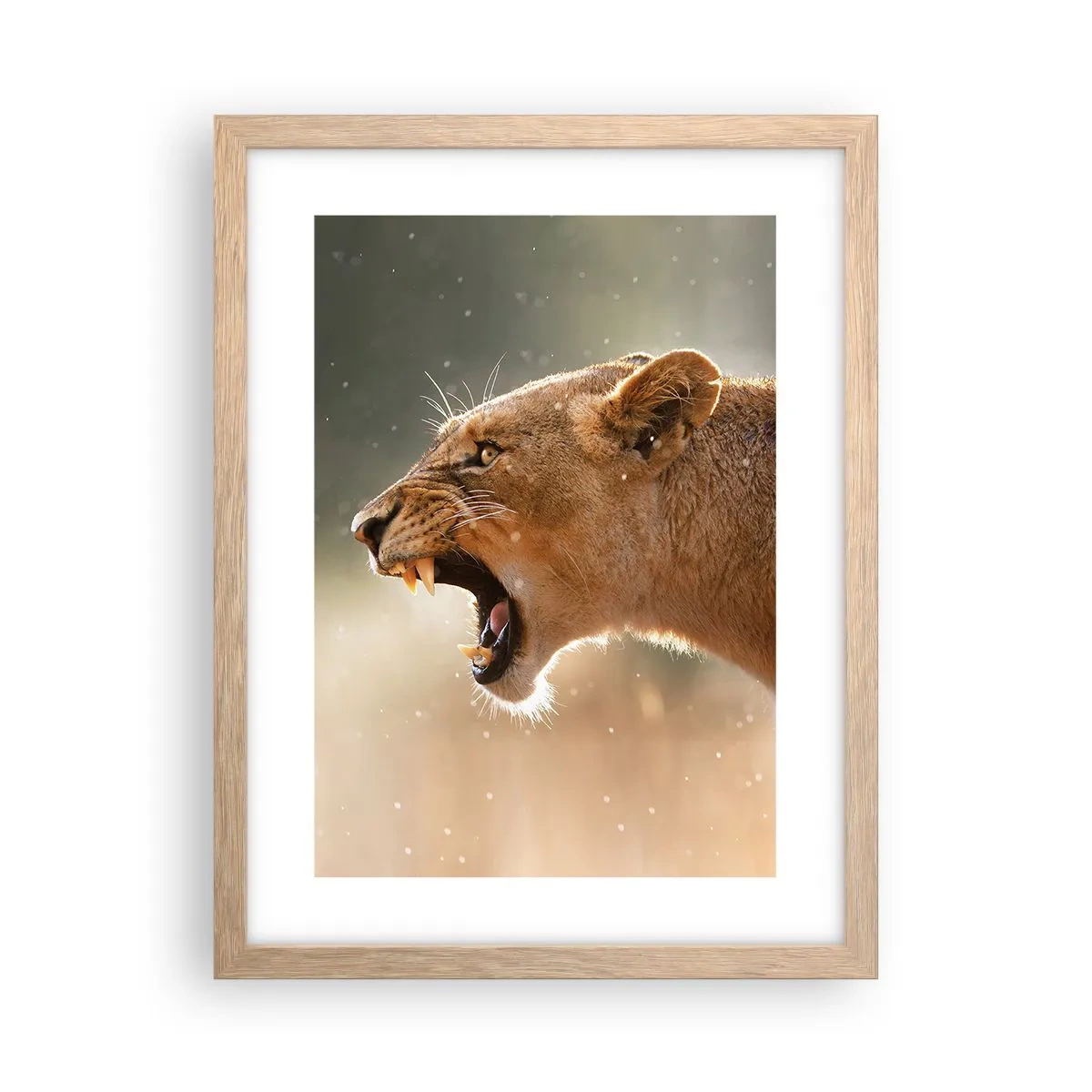 Plakat w ramie jasny dąb - Spróbuj nie posłuchać - 30x40 cm